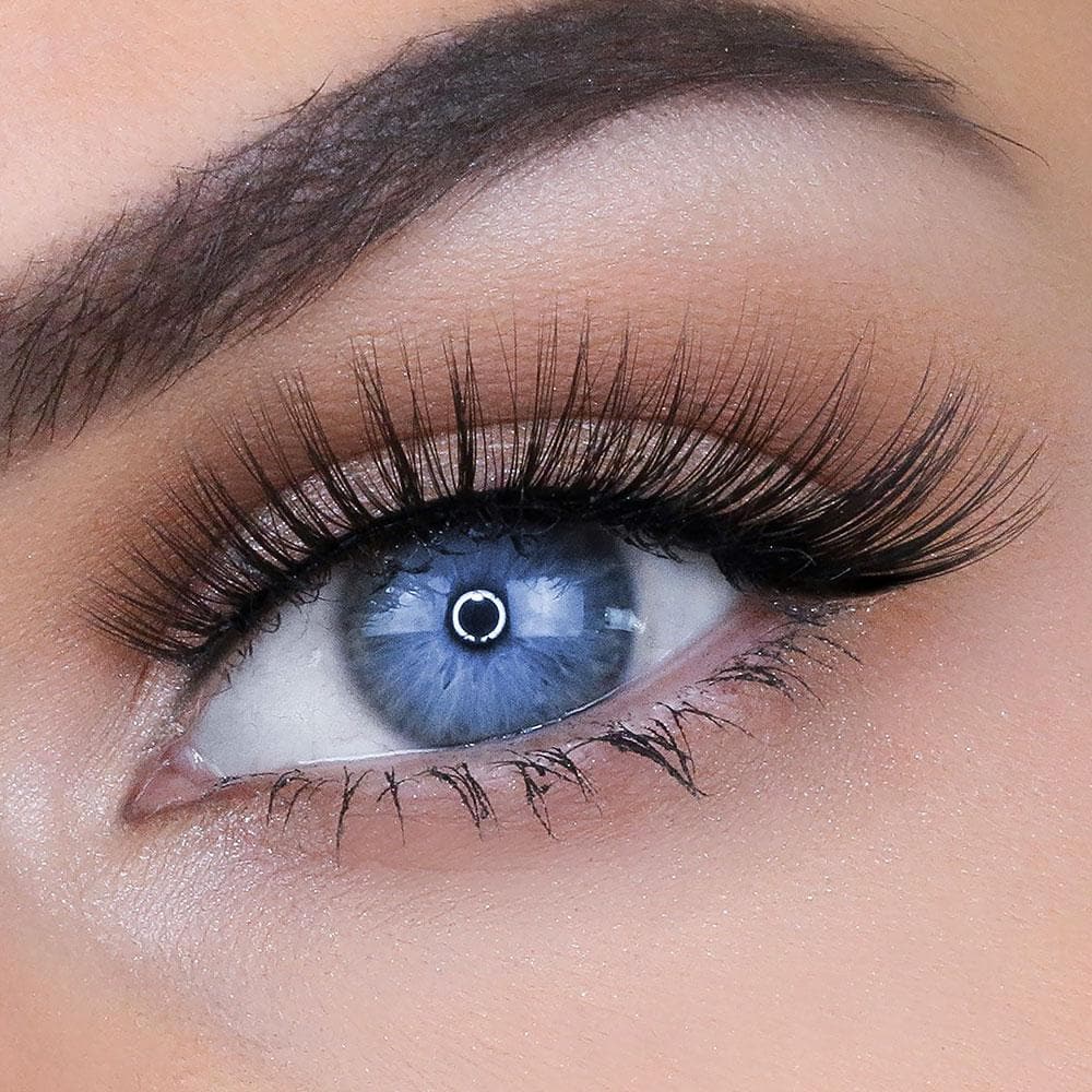 GEORGIA LASH