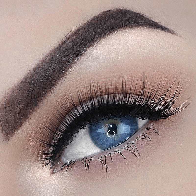 ALANNAH LASH