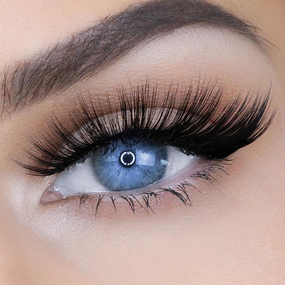 GEMMA LASH