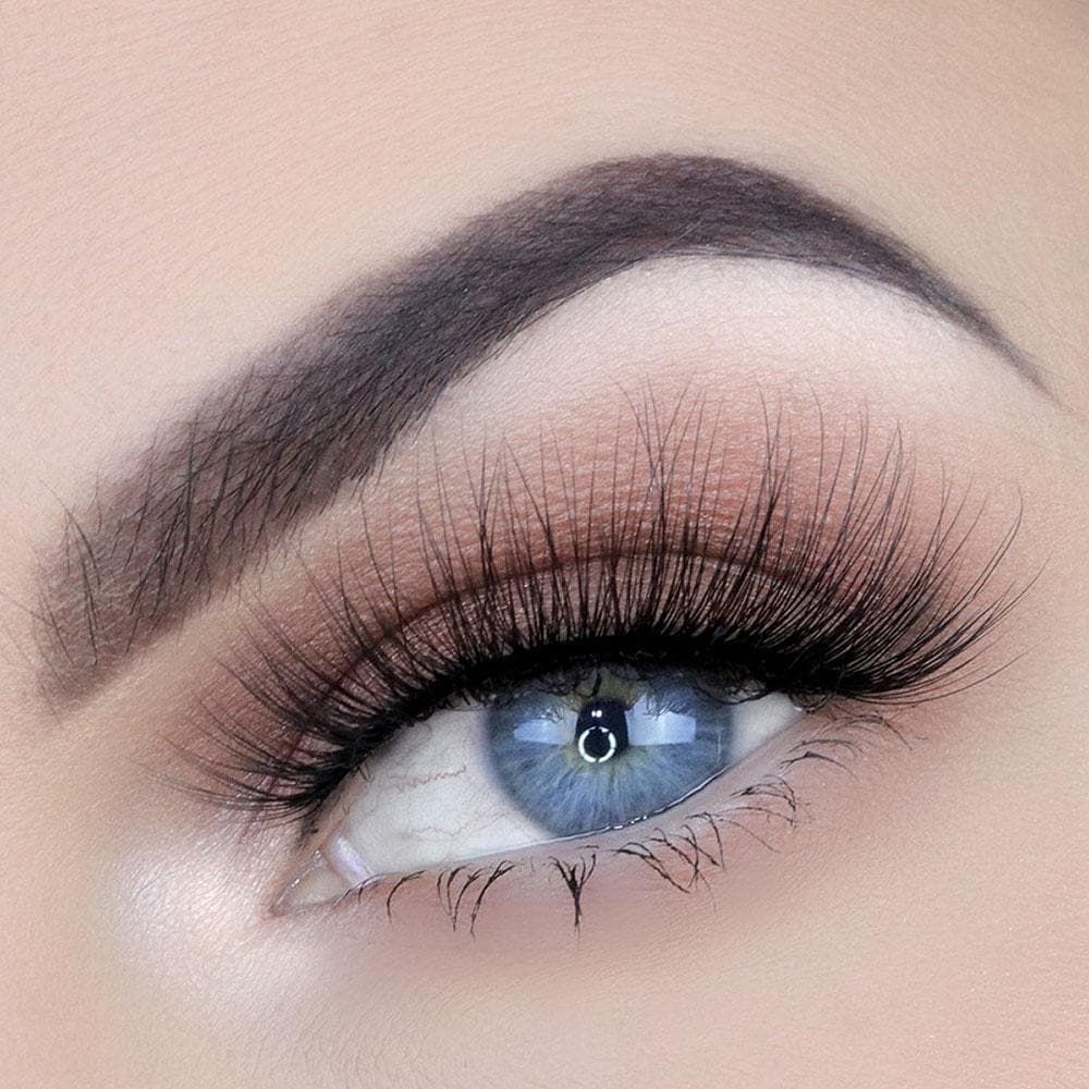 CHARLOTTE LASH