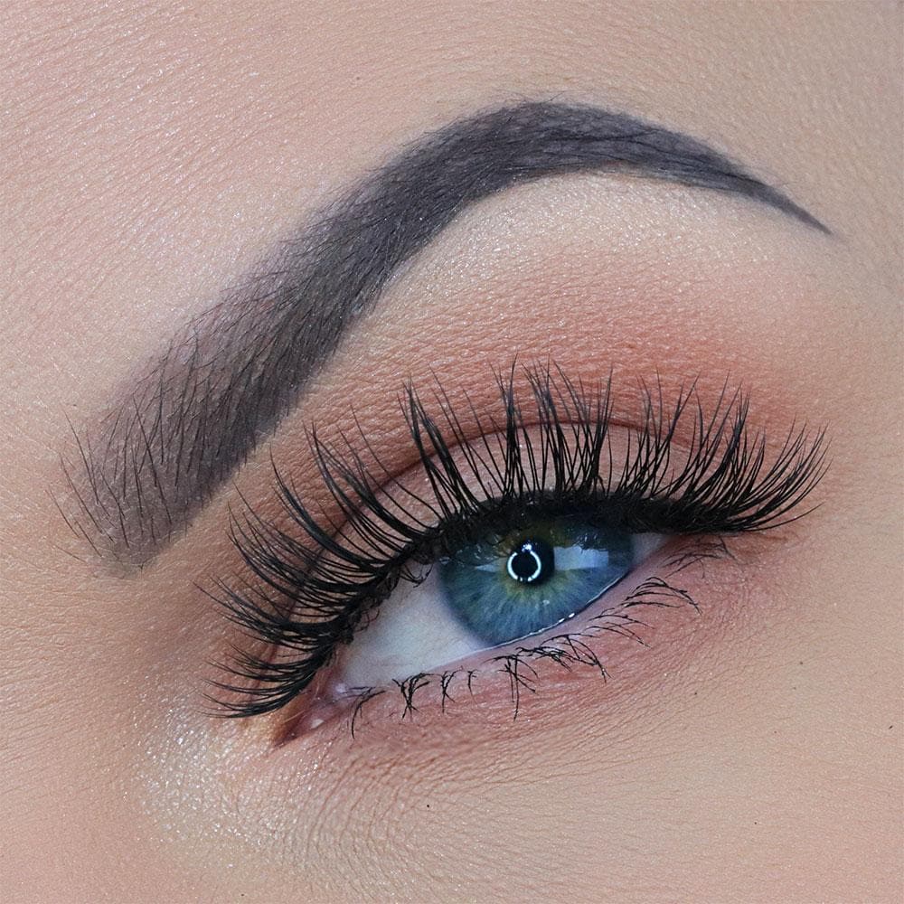 ALIYAH LASH