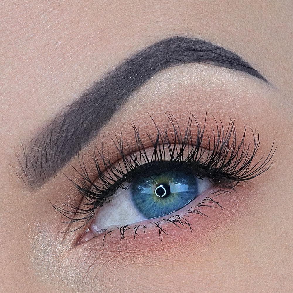 APRIL LASH