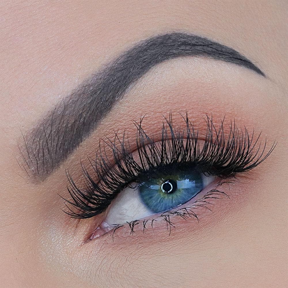 AMELIA LASH