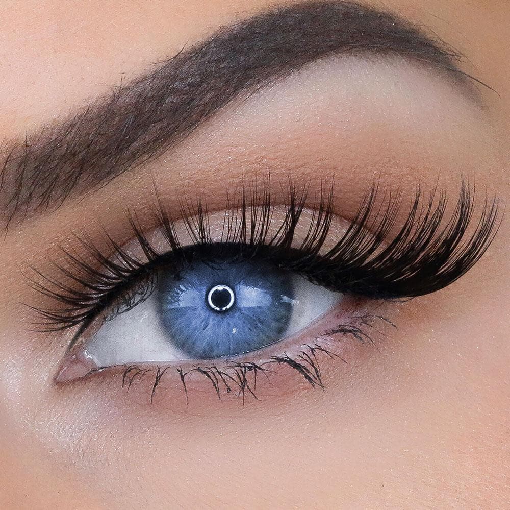 JESSICA LASH