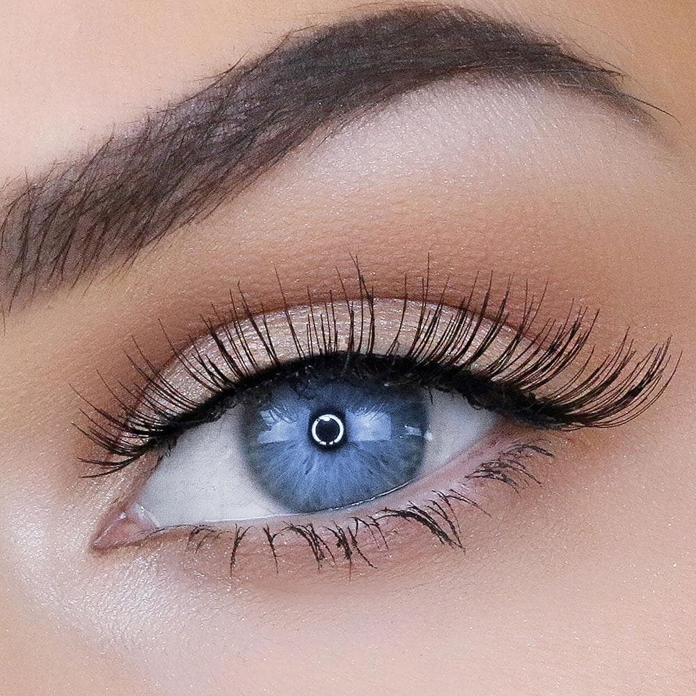 SAMANTHA LASH