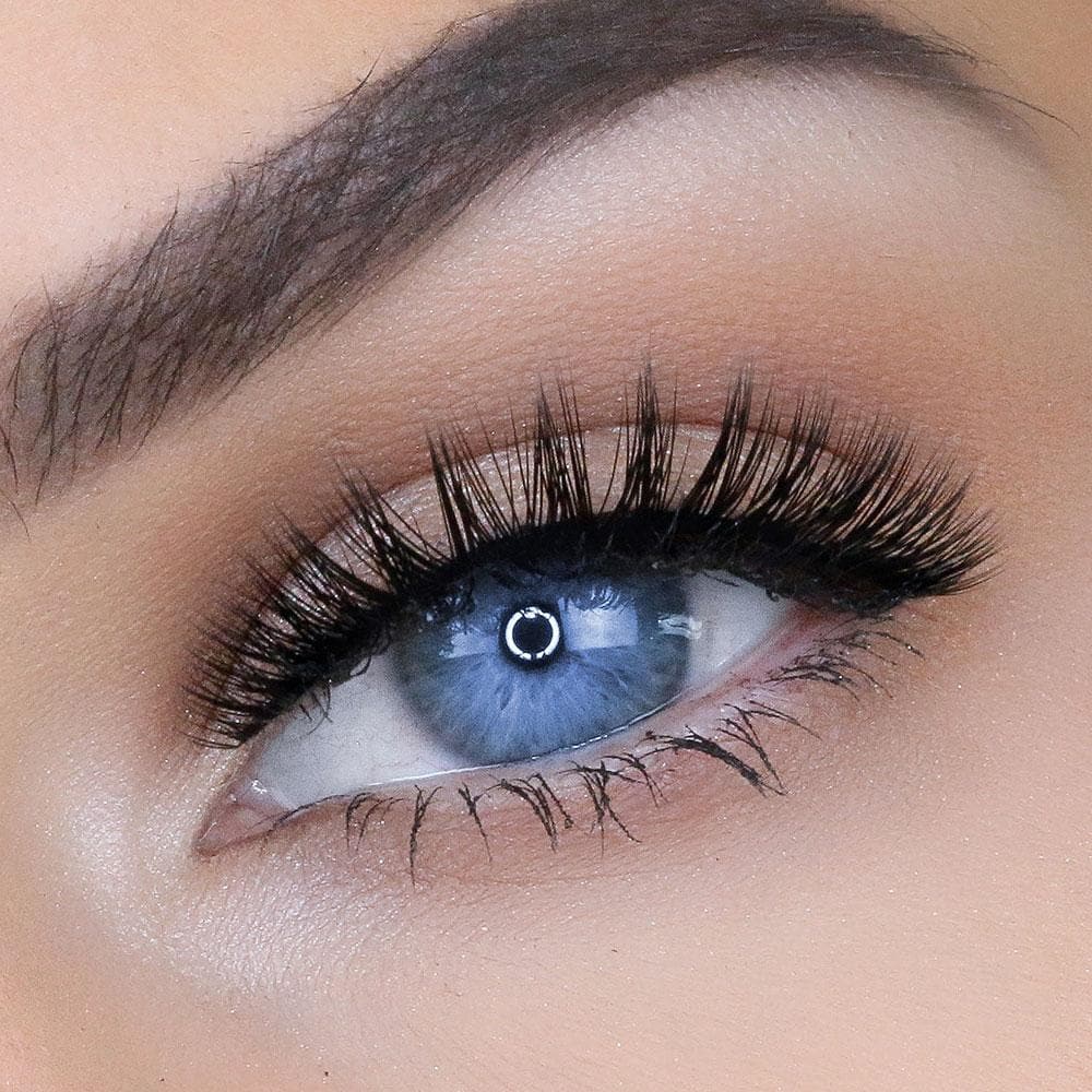 NATASHA LASH