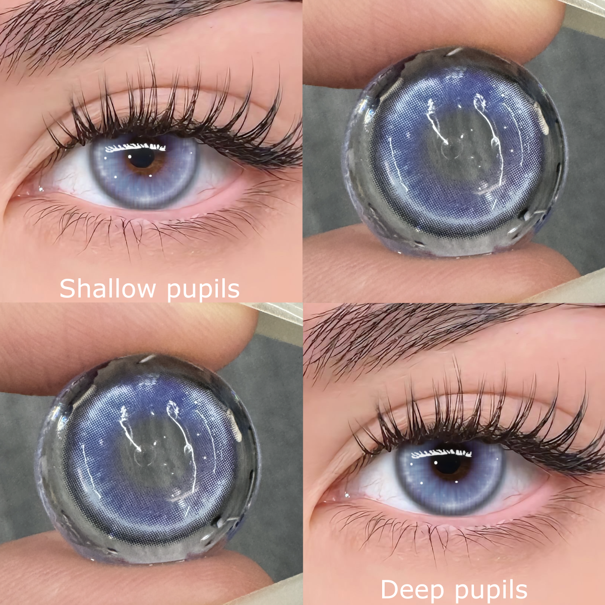 Fjord Purple