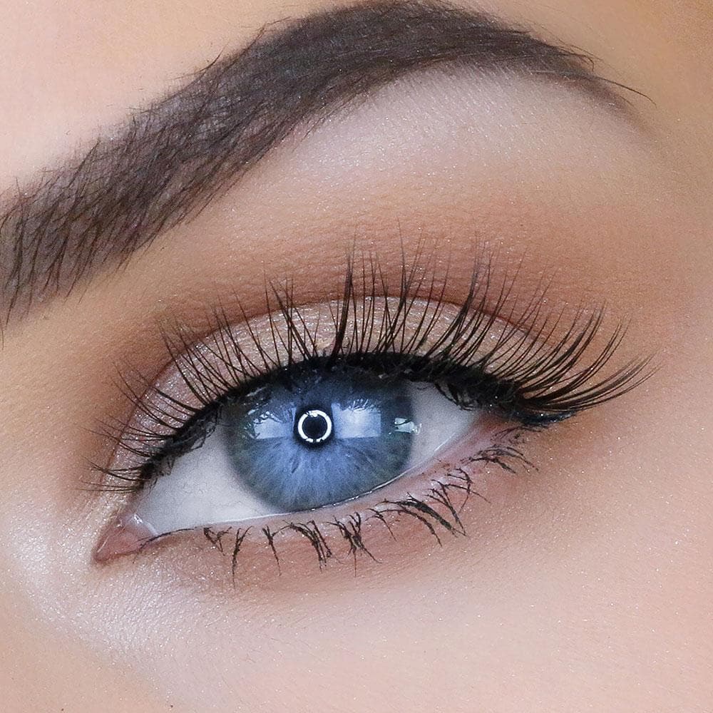 LAUREN LASH