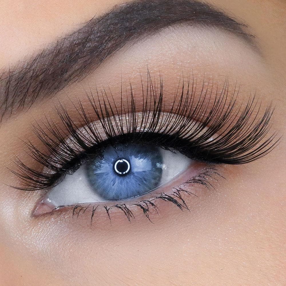 HANNAH LASH