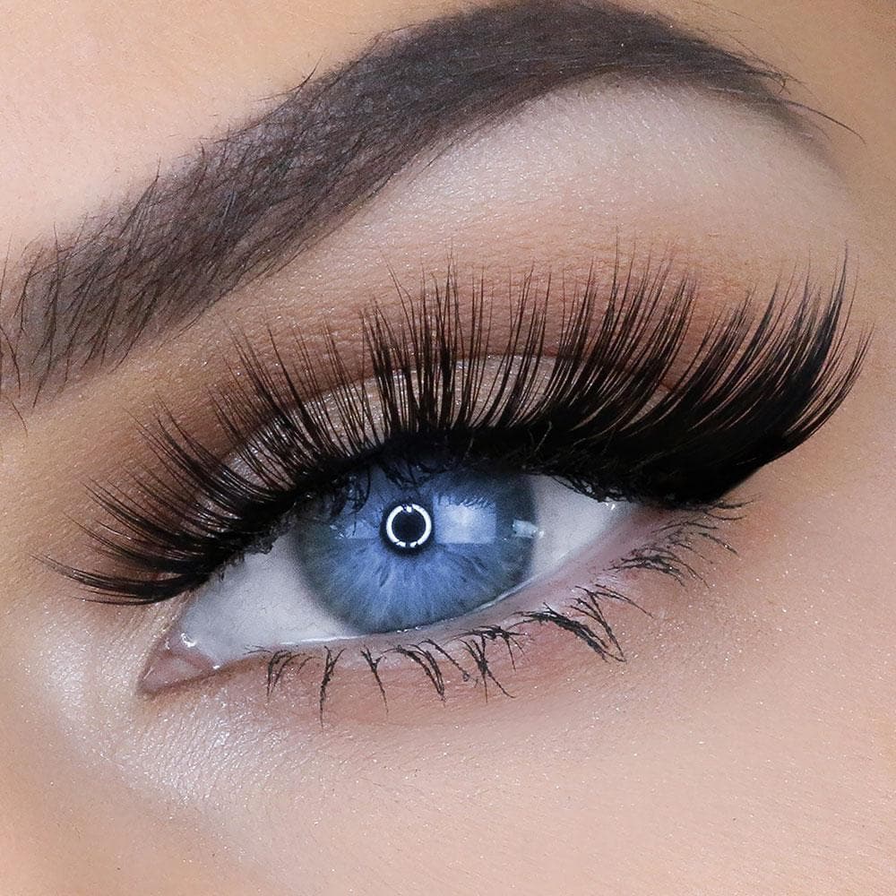 ZAHRAH LASH